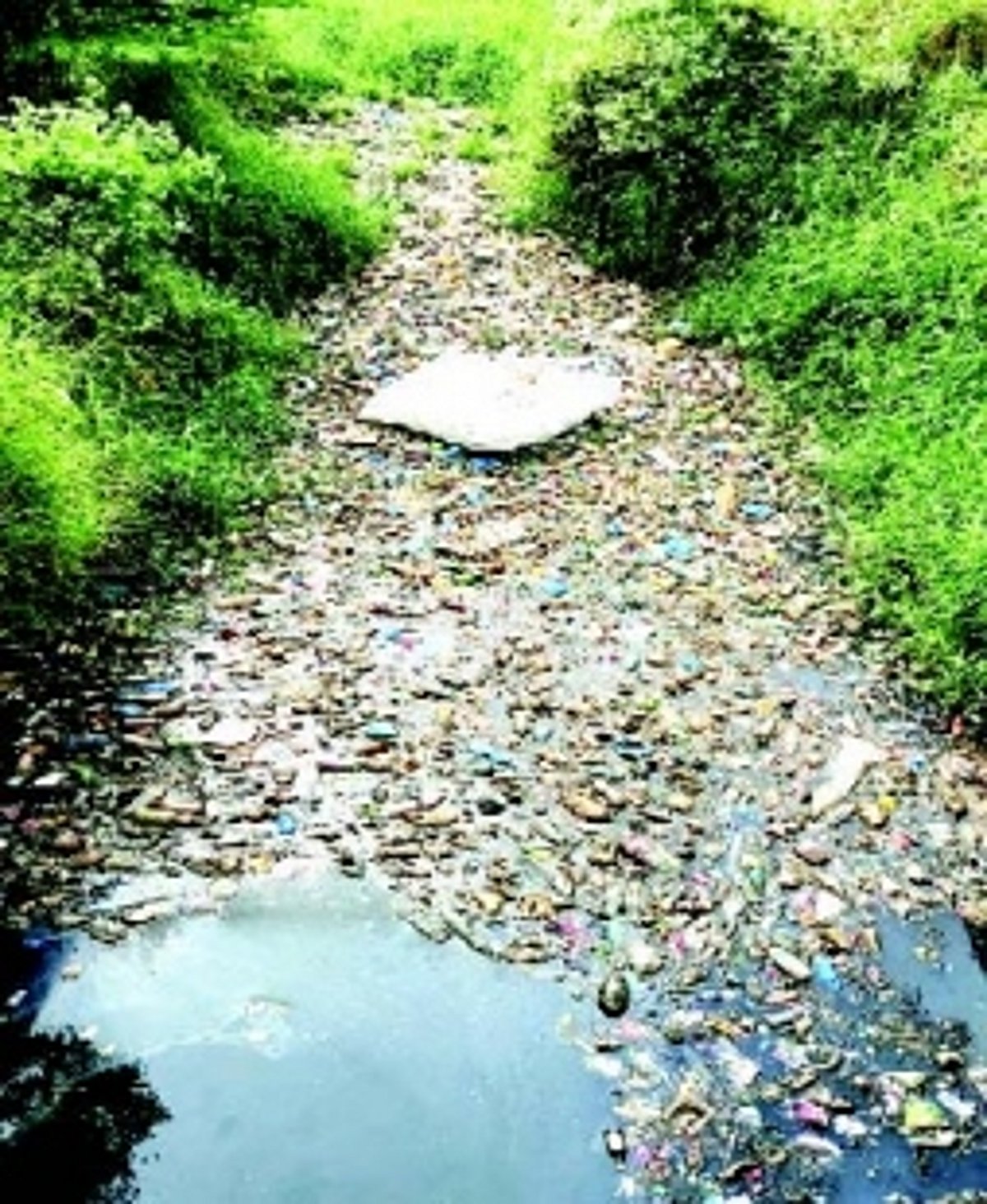 Pollution board pulls up Margao civic body for sewage in nullahs, warns of legal action