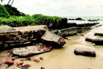 Pollution crisis at Velsao: Fisherfolk blame nearby fertiliser plant for fish kill