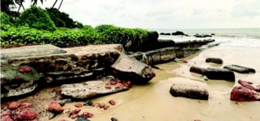 Pollution crisis at Velsao: Fisherfolk blame nearby fertiliser plant for fish kill