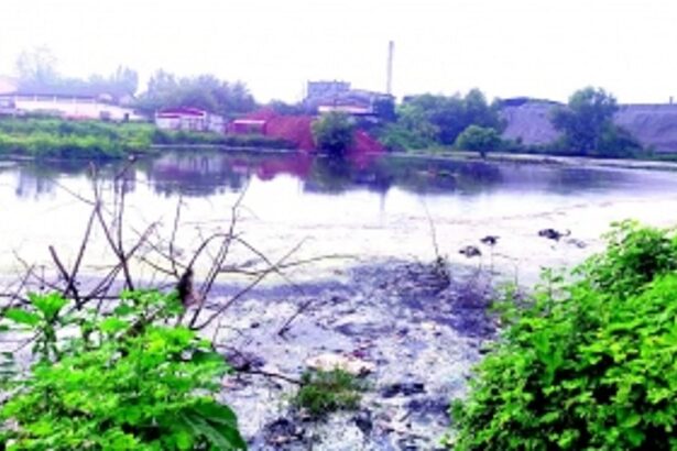 Pollution plagues Cuncolim Industrial Estate: Factories neglect waste disposal norms, build illegal structures