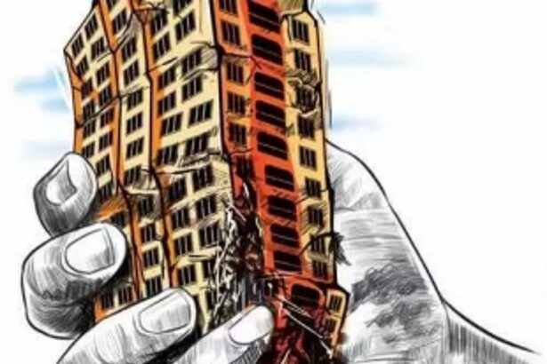 Pomburpa-Olaulim VP revokes stop work order issued to  Tarun Tahilani for alleged unauthorised construction