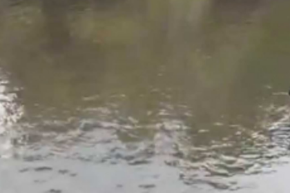Ponda Dy Collector holds meet to  curb drowning cases at Kodar River