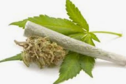 Ponda Police Seize 6 Kg of Suspected Ganja in Borim Area