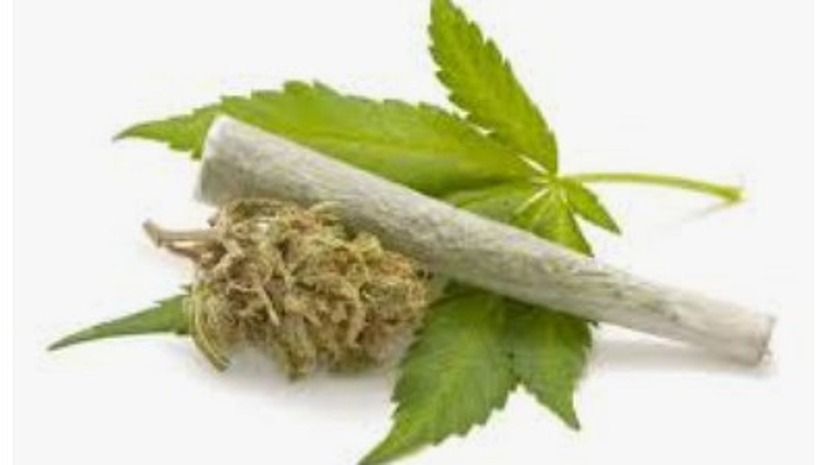 Ponda Police Seize 6 Kg of Suspected Ganja in Borim Area