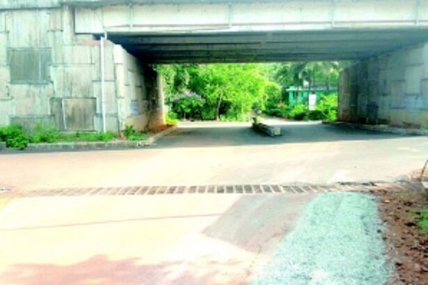 Ponda locals baffled as speed breakers vanish after  road repair