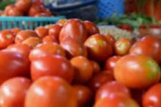Ponda locals feel the pinch as tomato prices skyrocket