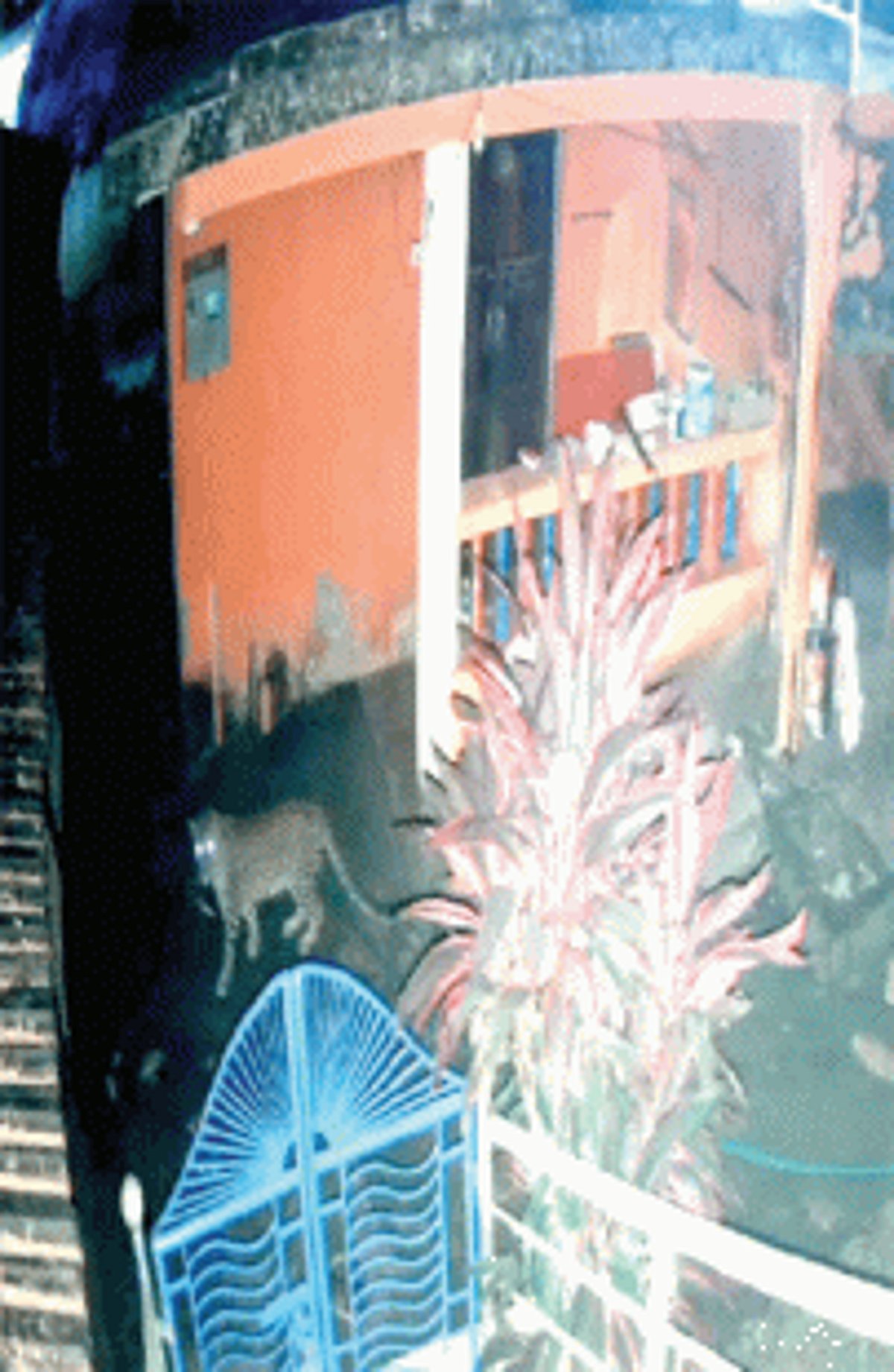 Ponda locals panic as leopard kills, devours two pet dogs at Kavlem