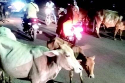 Ponda locals urge temple committees, comunidade to donate land for goshalas