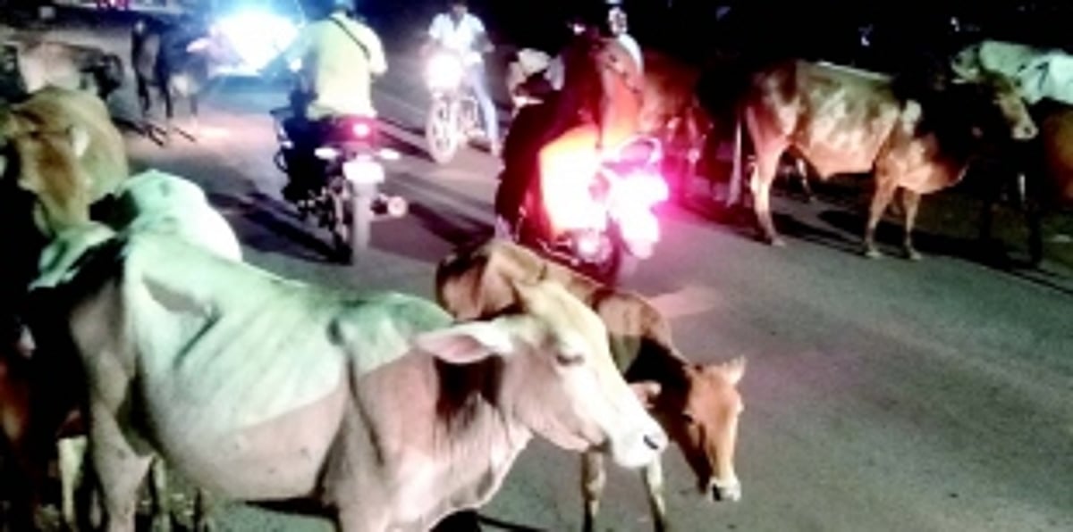 Ponda locals urge temple committees, comunidade to donate land for goshalas