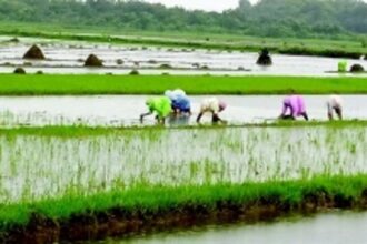 Ponda ryots seek more financial aid from govt to make farming affordable