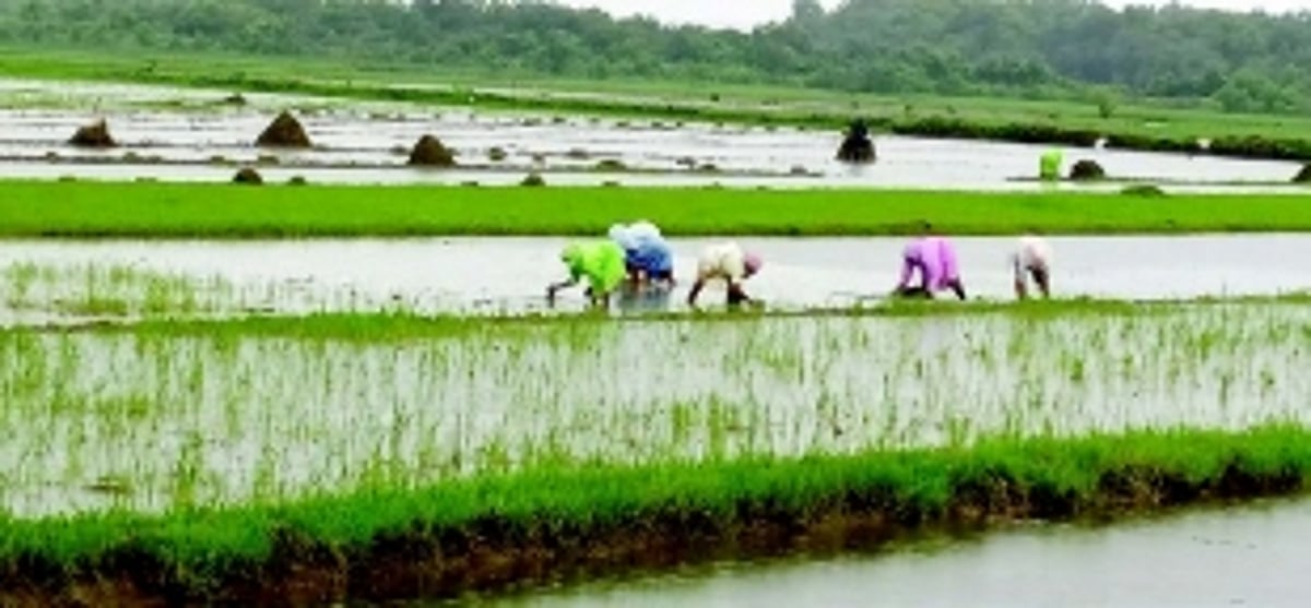 Ponda ryots seek more financial aid from govt to make farming affordable