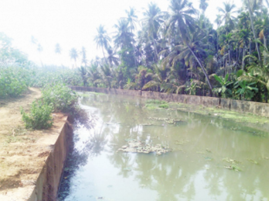 Pondaites demand to expedite pending work of STP