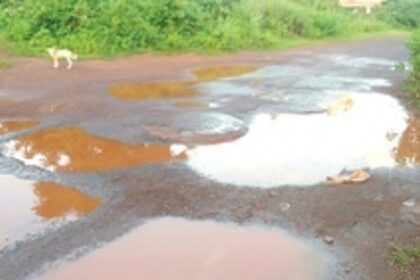 Pondaites still struggling to get rid of them