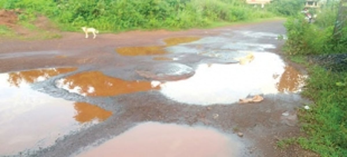 Pondaites still struggling to get rid of them