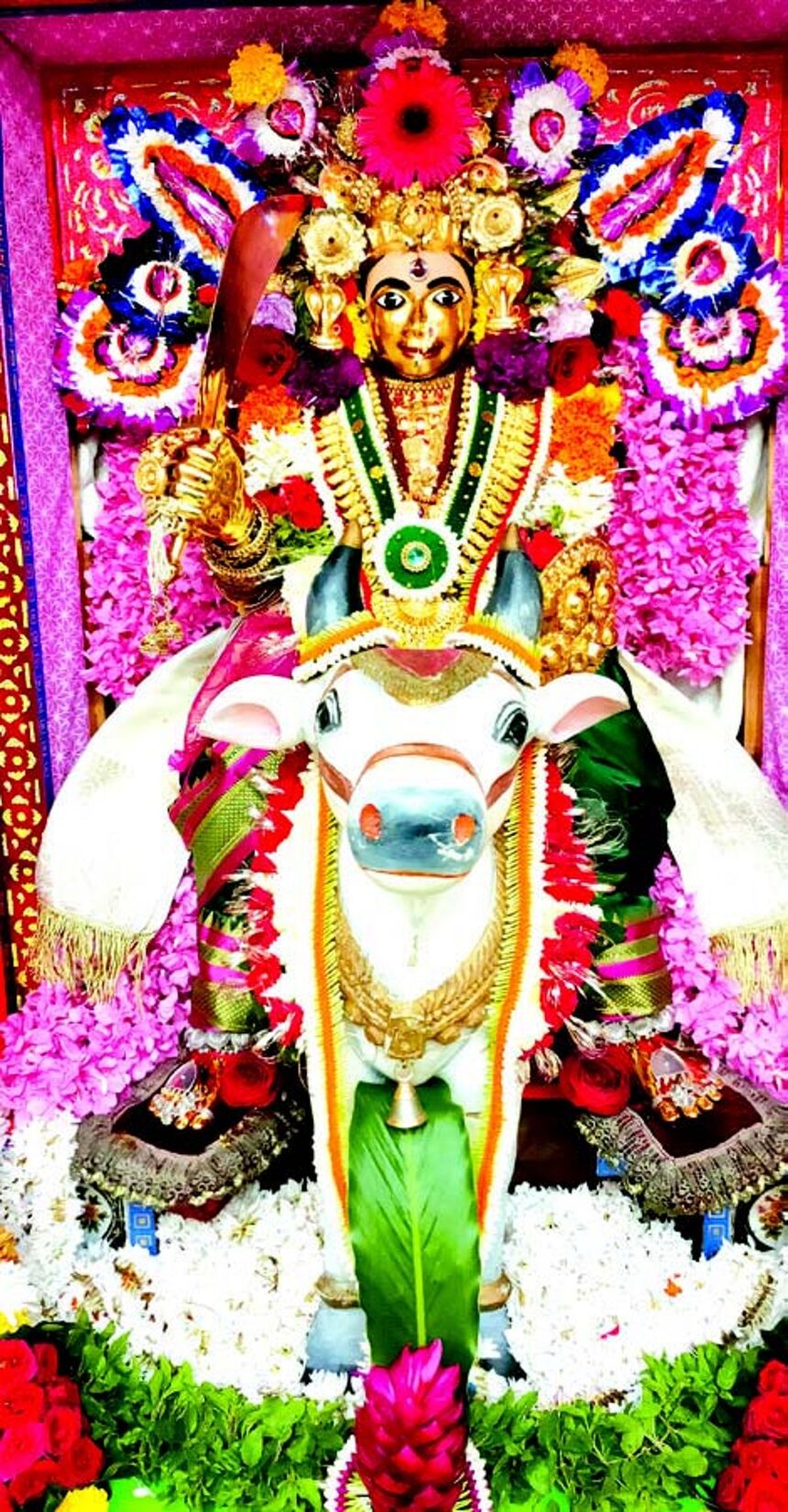 Ponda’s temples come alive with rituals and revelry during nine-day Navratri festival 1 Ponda’s temples come alive with rituals and revelry during nine-day Navratri festival