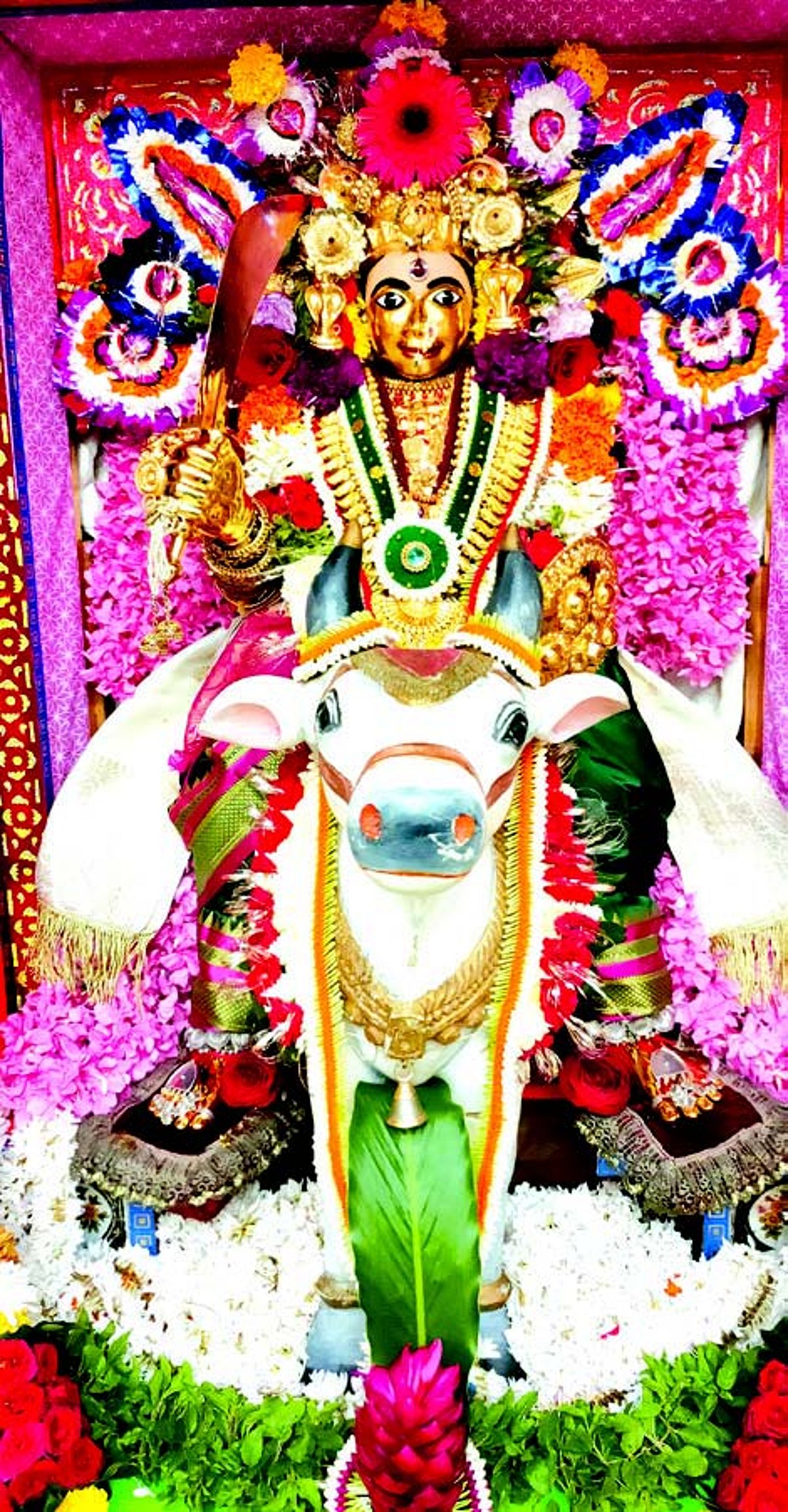 Ponda’s temples come alive with rituals and revelry during nine-day Navratri festival