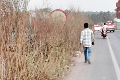 Poor Road Signage and Overgrown Grass Threaten Safety on Guirim Highway