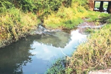 Poorly-managed Sewage Plant, leaky sewerage network cause for contamination of River Sal, say activists