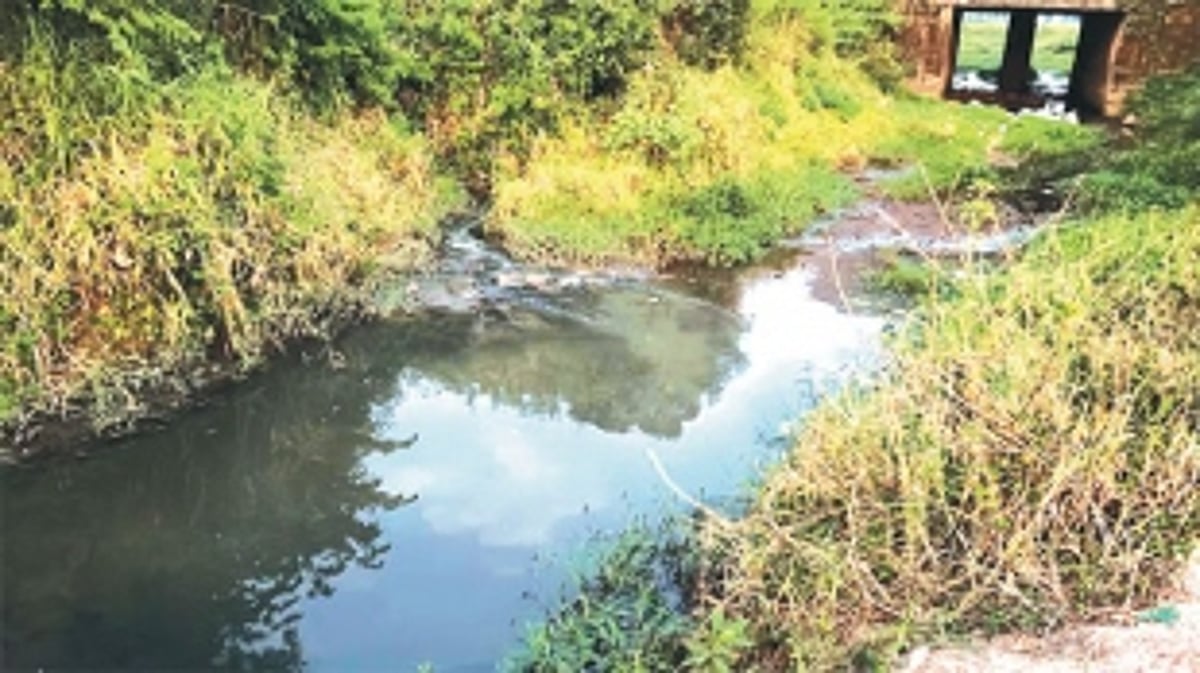 Poorly-managed Sewage Plant, leaky sewerage network cause for contamination of River Sal, say activists