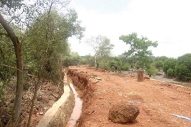 Popping up all over the place