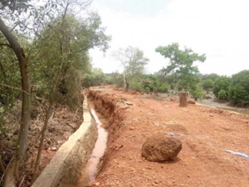 Popping up all over the place