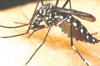 Porvorim MLA writes to Health Min over dengue outbreak