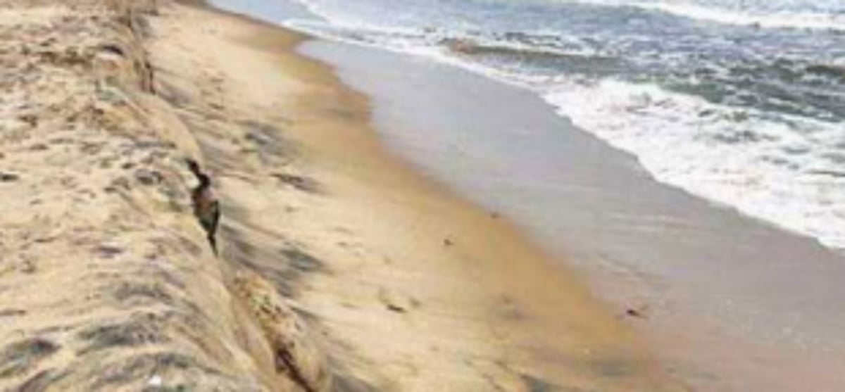 Postpone CZMP hearing, demand Loutolim villagers