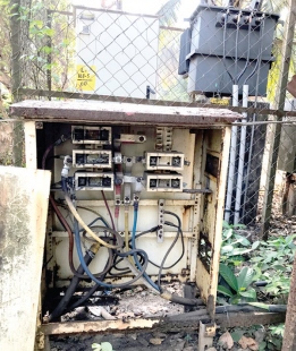 Power dept should act before tragedy strikes