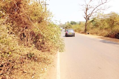 Power dept staff negligent in work
