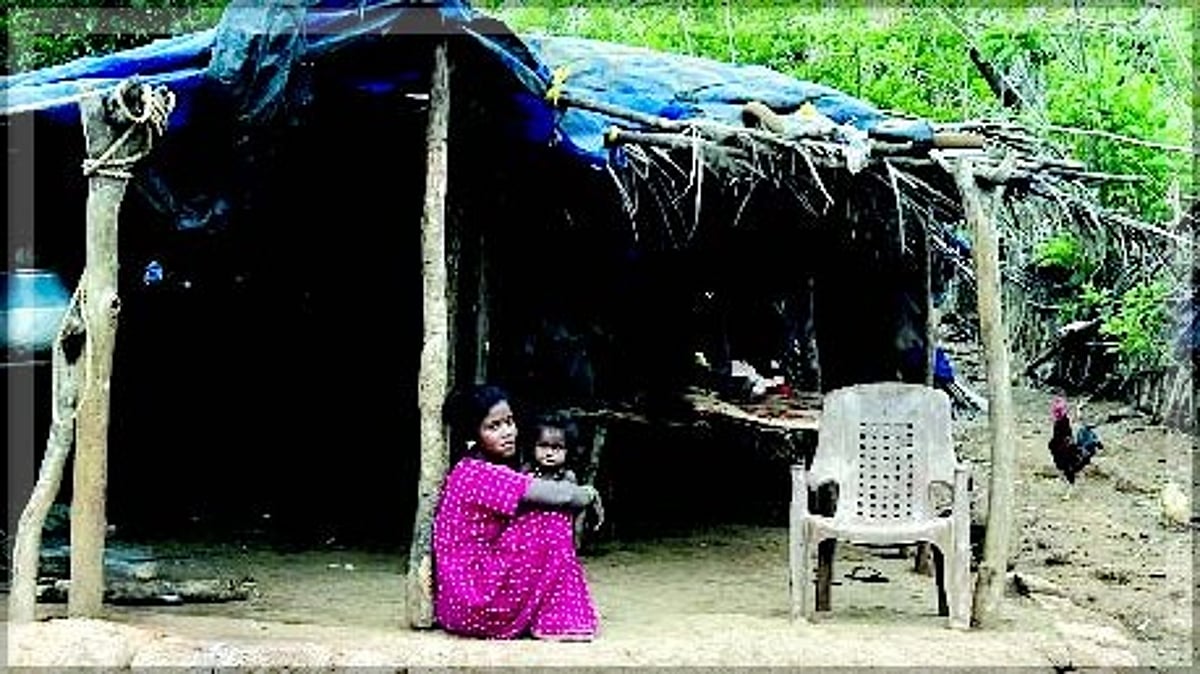 Power dept to brighten lives of  Vanarmare  in Nirankal