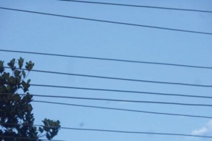 Power jolt removed by Electricity Department