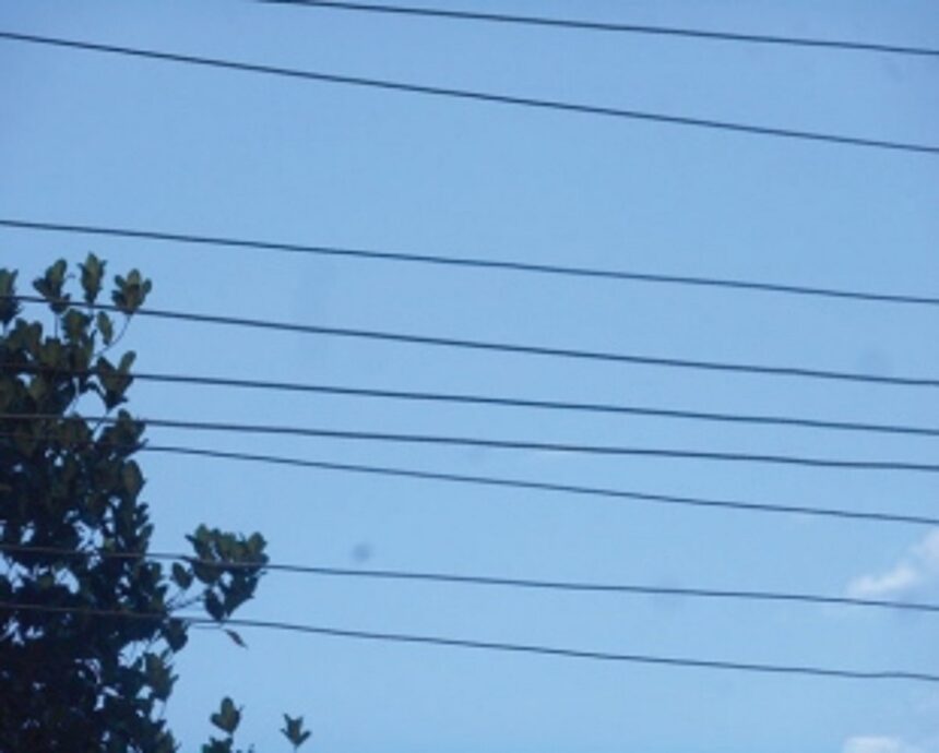 Power jolt removed by Electricity Department 1 Power jolt removed by Electricity Department