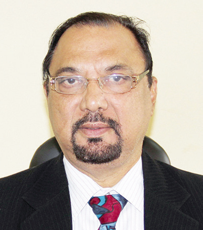 Power versus responsibility in democratic governance: An Indian perspective