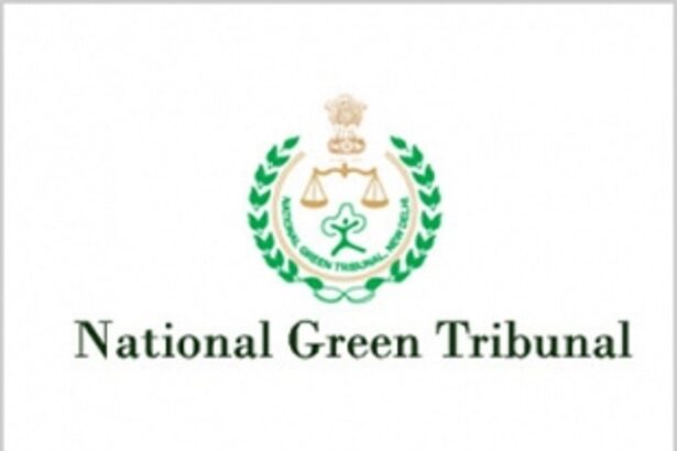 Pre-1991 structures not CRZ-proof: NGT