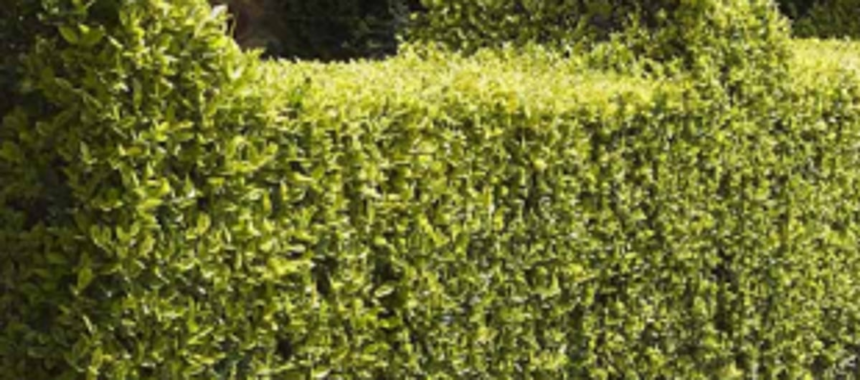 Pre-monsoon works in Xeldem, Assolda ‘hit’ due to pandemic