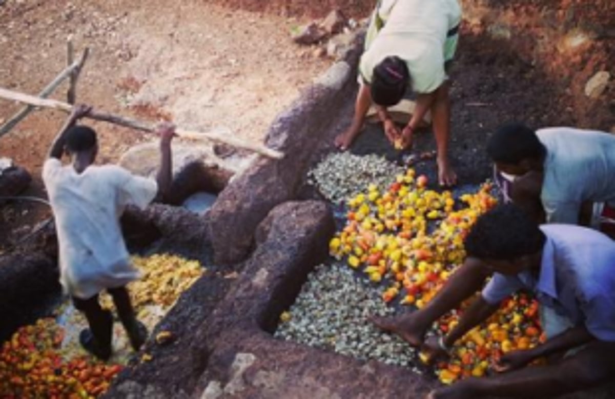 Preserve traditional art of making Feni: Oppn Leader