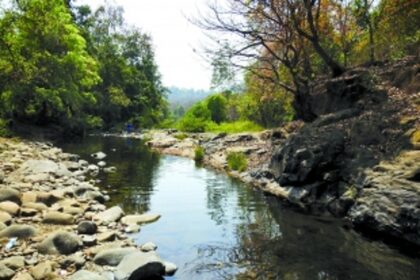 President’s forest preservation call bolsters Goa’s green crusaders