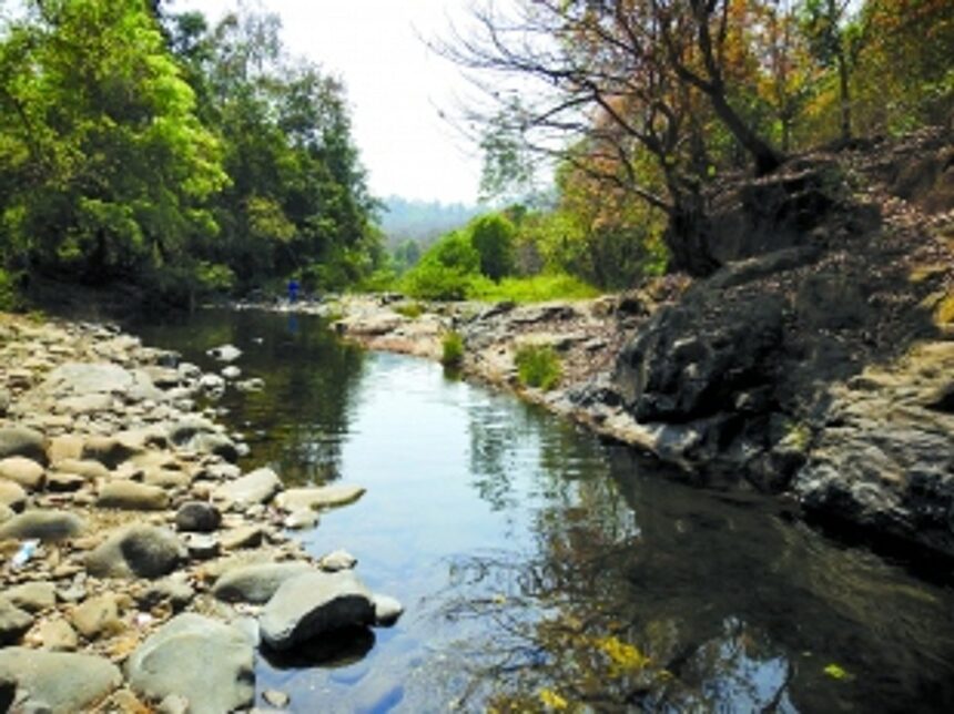 President’s forest preservation call bolsters Goa’s green crusaders