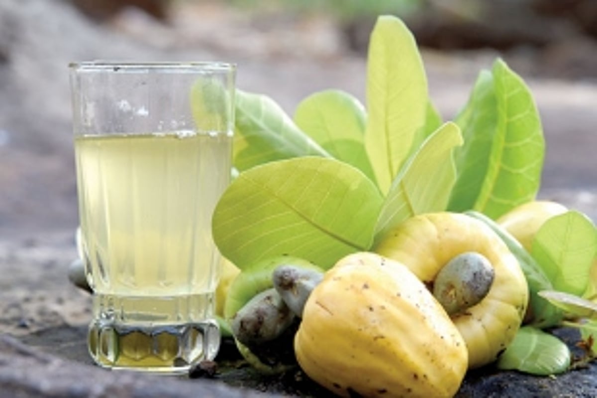 Price rules over quality  in cashew nut market