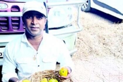 Priced at Rs 600 each, Mankurad makes its entry into the Goan market