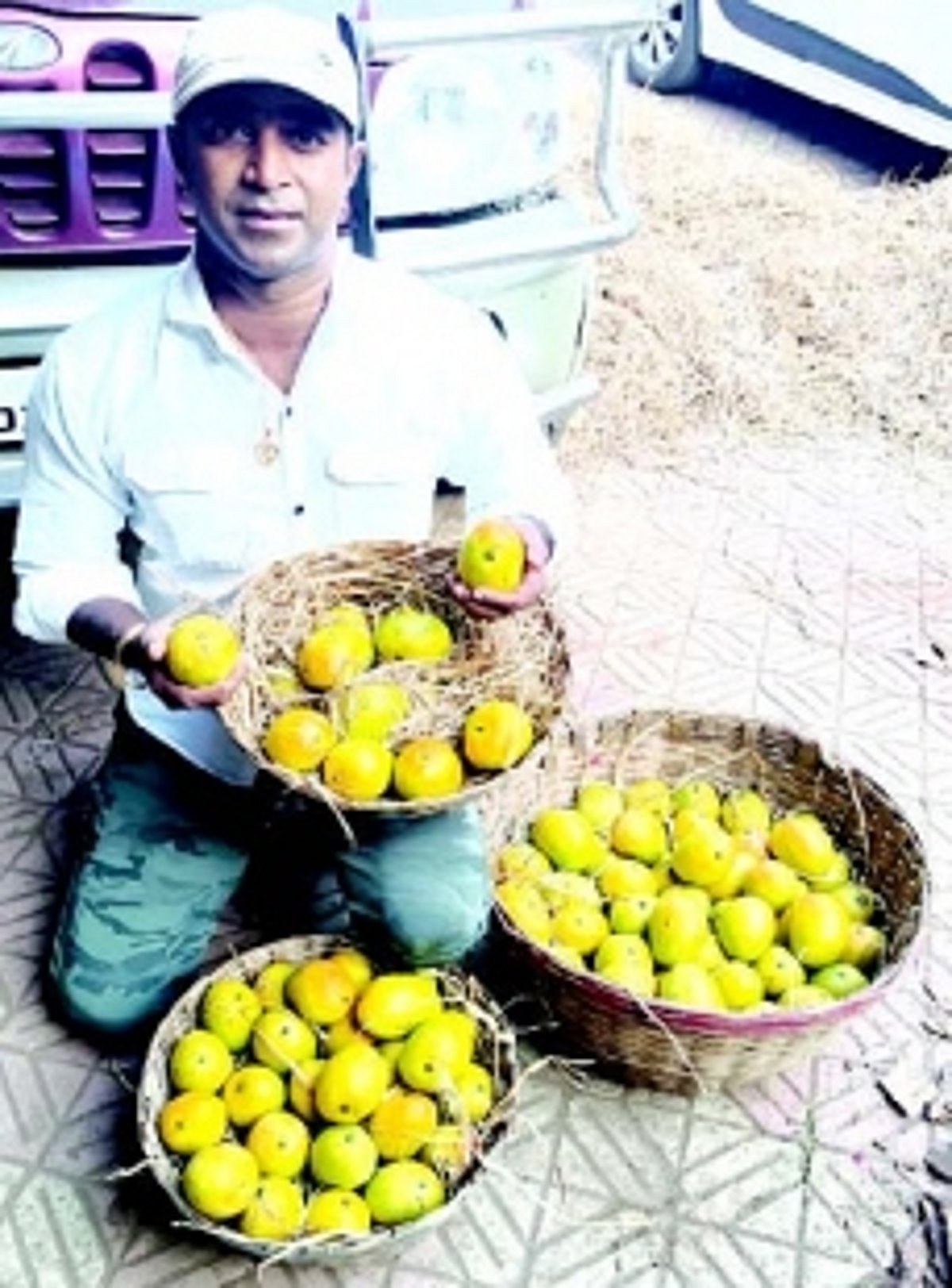 Priced at Rs 600 each, Mankurad makes its entry into the Goan market