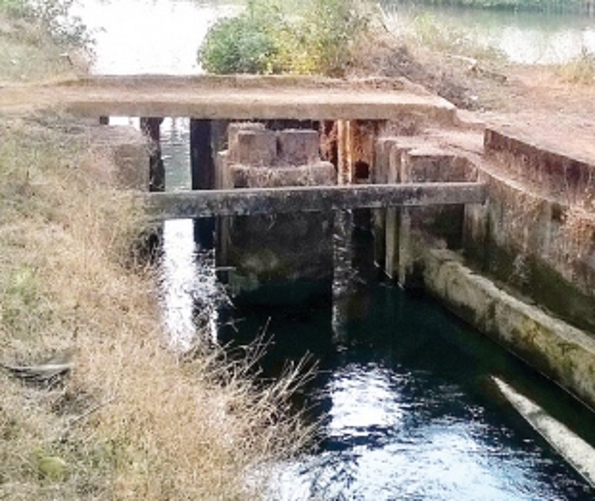 Prices up, farming down