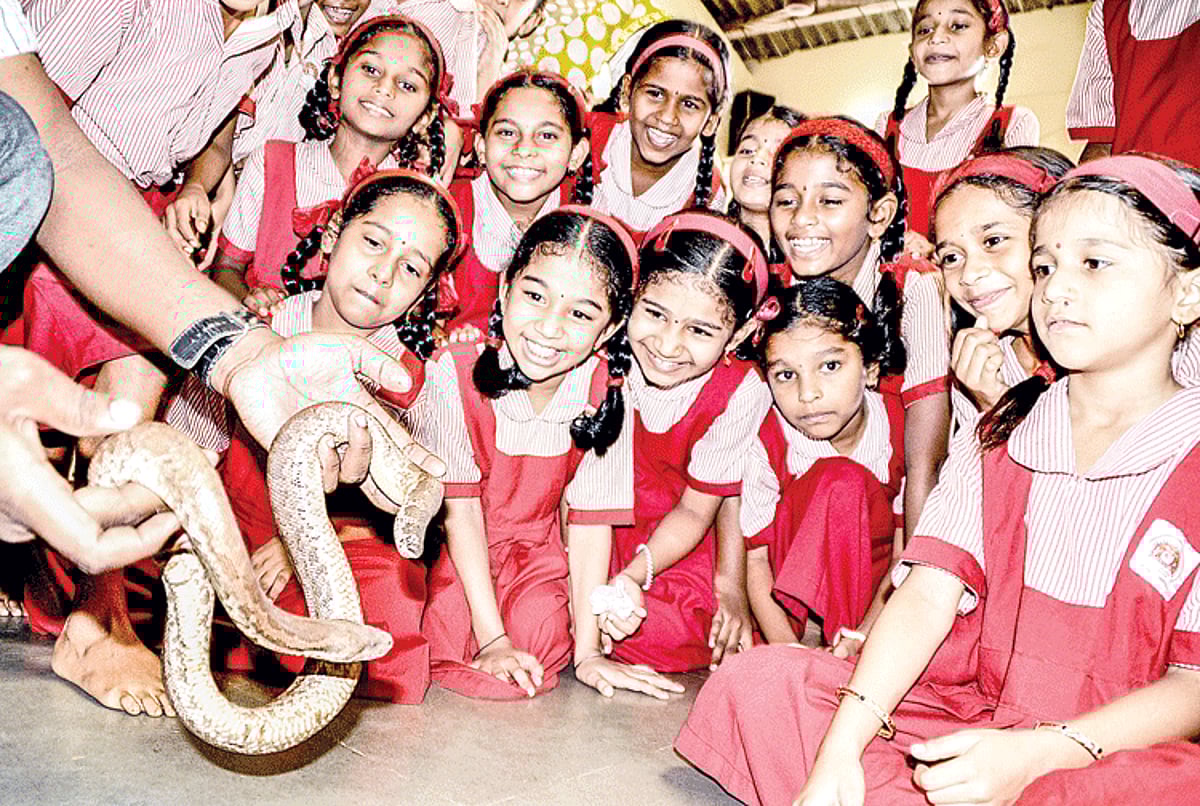 Primary students of Mushtifund High School in Panjim sneak a glimpse at a live snake (sand boa), presented by Green Cross, Mapusa on the eve of Naag Panchami