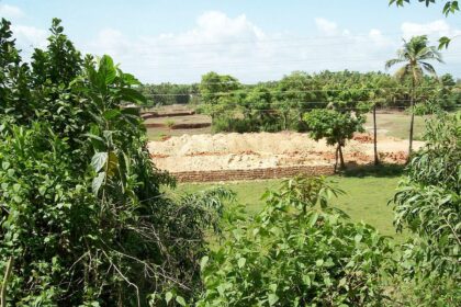 Prime agricultural land adjacent to Salaulim irrigation project filled with mud.