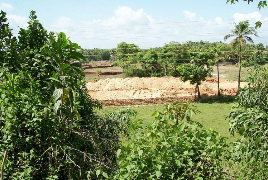Prime agricultural land adjacent to Salaulim irrigation project filled with mud.