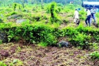 Priol, Bandora, Farmagudi farmers face crop losses due to heavy rainfall