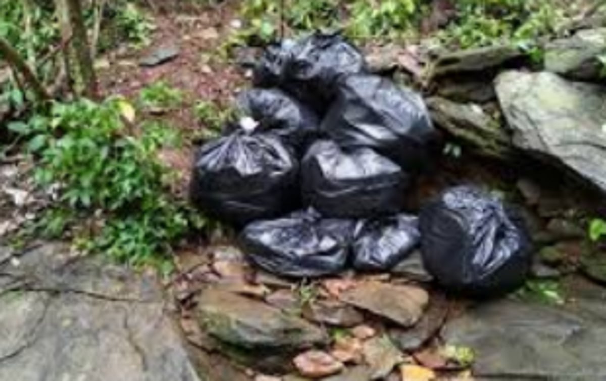 Pristine Sattari   waterfalls losing charm due to garbage menace