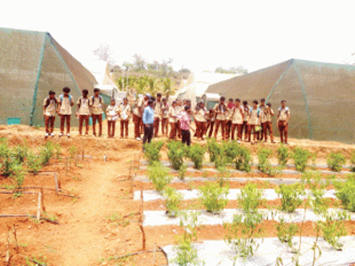 Producing farmers, not just crops