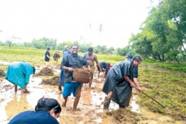 Programme facilitates volunteers and students to connect with nature