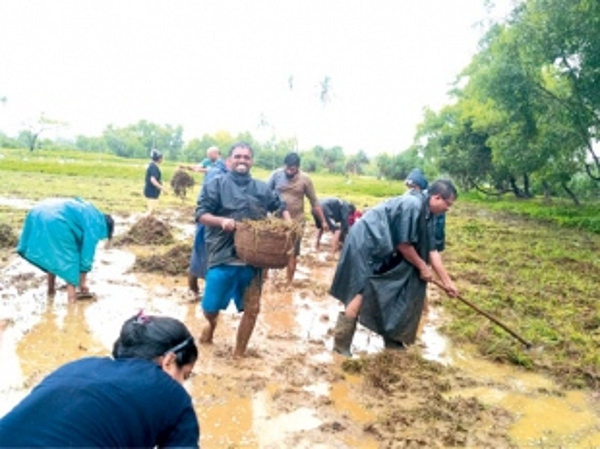 Programme facilitates volunteers and students to connect with nature